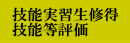 技能実習生修得技能等評価